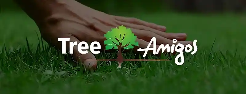 A hand gently touching healthy green grass with the Tree Amigos logo, representing the lush lawns possible after professional tree trimming and canopy management.